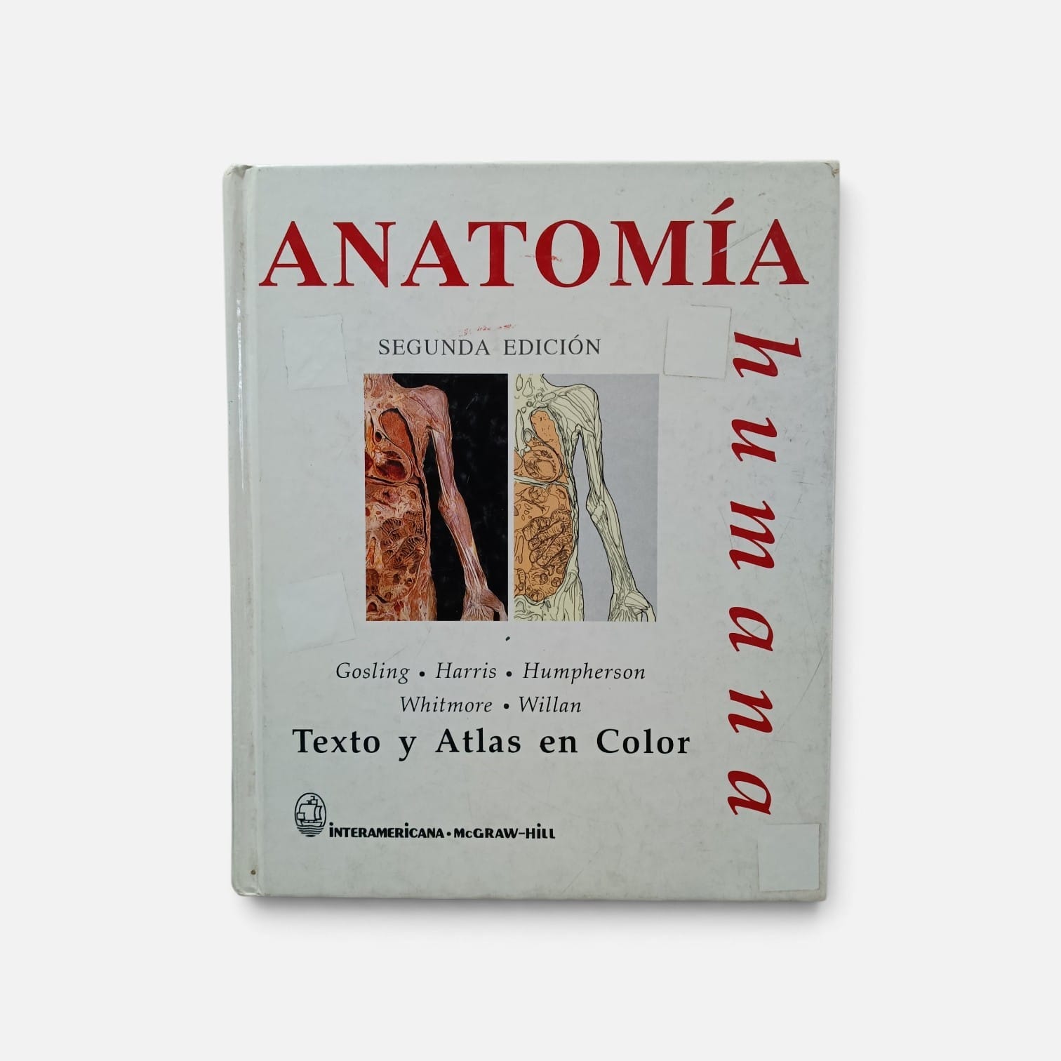 Anatomia Humana Segunda Edicion. -  9780201379716