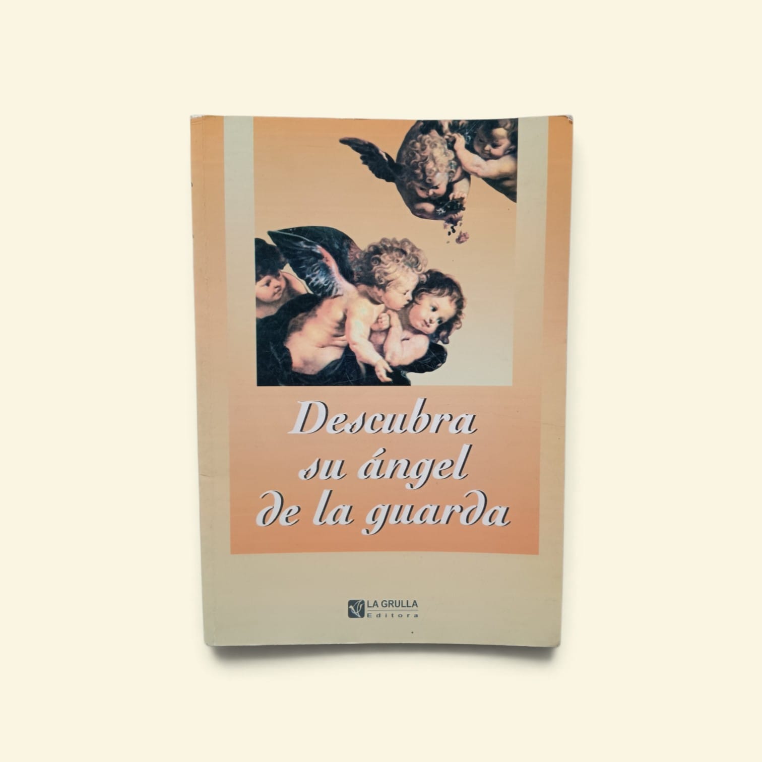 Descubre su angel de la guarda. -  9789879209462
